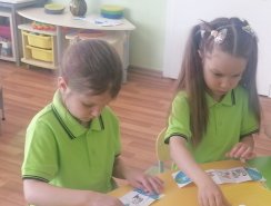 img (4)